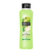 Alberto Balsam Juicy Green Apple Shampoo 350ml Shampoo & Conditioner alberto balsam   