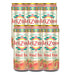 Arizona Iced Tea With Peach Flavour Drink 6 x 500ml Drinks arizona   