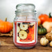 Premium Aromance Pumpkin Amber Scented Large Jar Candle 18oz Candles FabFinds   