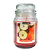 Premium Aromance Pumpkin Amber Scented Large Jar Candle 18oz Candles FabFinds   