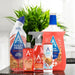 Astonish Winter Spice Mini Cleaning Bundle 5 Piece Cleaning Bundles Astonish