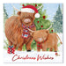 Christmas Cards 12 Pack Highland Cow