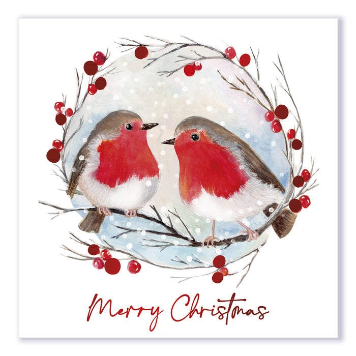 Christmas Cards 12 Pack Traditional Robin Christmas Cards FabFinds
