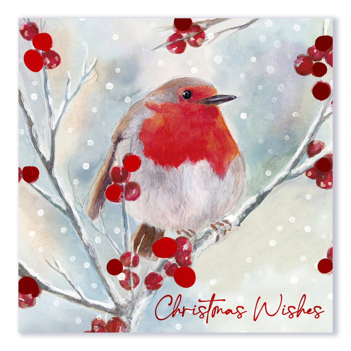 Christmas Cards 12 Pack Traditional Robin Christmas Cards FabFinds
