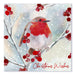 Christmas Cards 12 Pack Traditional Robin Christmas Cards FabFinds