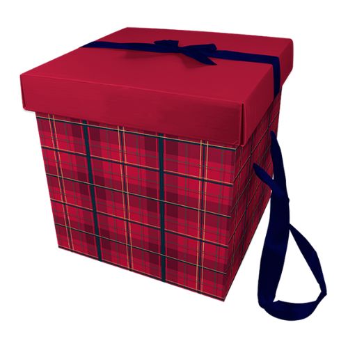 Christmas Gift Box with Ribbon Handles 29cm x 29cm Assorted Colours Christmas FabFinds Red  