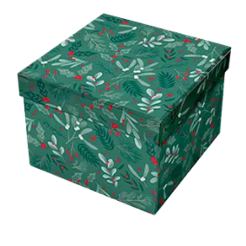 Printed Christmas Gift Box Set 3 Pack Assorted Designs Christmas Gift Bags & Boxes FabFinds Green Leaves