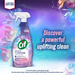Cif Antibacterial Spray Aurora Blooms Winter 750ml Assorted Packs Disinfectants Cif