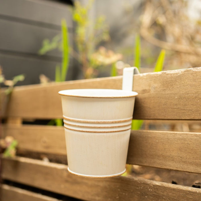 Cream Over Fence Plant Pot 9.5cm Assorted Packs