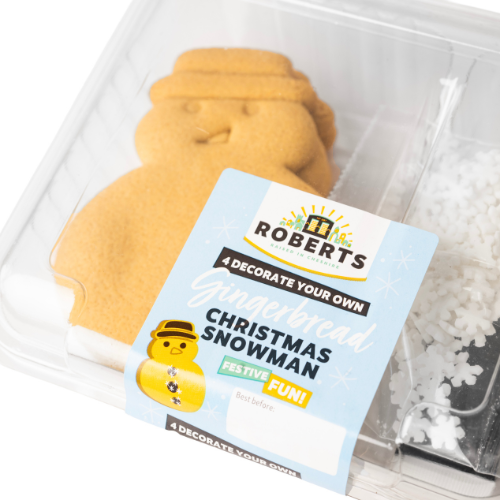 Festive Fun Kit 4 Decorate Your Own Gingerbread Snowman DIY FabFinds