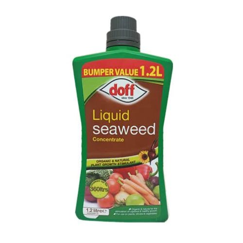 Doff Liquid Seaweed Concentrate Plant Stimulant 1.2 Litre Lawn & Plant Care doff   