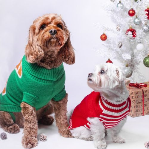 Smart Choice Santa & Gingerbread Man Pet Jumper S/M Dog Accessories Fabfinds   