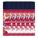 Fabulosa Mixed Berry Carpet & Upholstery Foam Freshener 300ml Fabulosa Foam Freshener Fabulosa Pack of 6