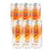 Fizzies Flavoured Sparkling Water Pack Of 6 300ml Assorted Flavours Drinks Fizzies Fruity Mango  