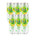 Fizzies Flavoured Sparkling Water Pack Of 6 300ml Assorted Flavours Drinks Fizzies Zingy Mojito  