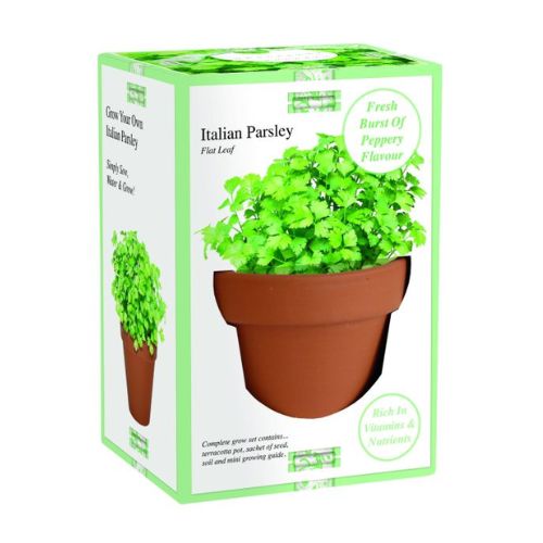 Terracotta Planter Grow Set Assorted Herbs Seeds and Bulbs Green ribbon Italian Parsley  