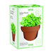 Terracotta Planter Grow Set Assorted Herbs Seeds and Bulbs Green ribbon Italian Parsley  