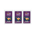 Mainstays Snowberries Wax Melts Frozen Berries Tangerine 2.5oz Wax Melts Mainstays Pack of 3