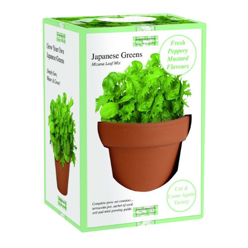Terracotta Planter Grow Set Assorted Herbs Seeds and Bulbs Green ribbon Japanese Greens  