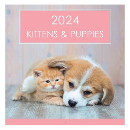 2024 Kittens & Puppies Square Calendar 28cm x 28cm Calendars Design Group   