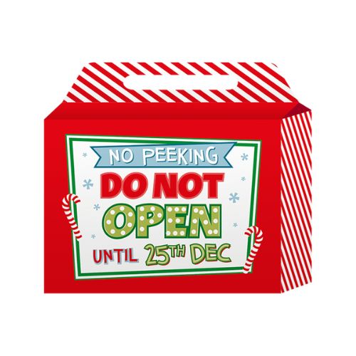 Large Folding Box with Gift Tags 2pk Assorted Styles Christmas Gift Bags & Boxes FabFinds Do Not Open  