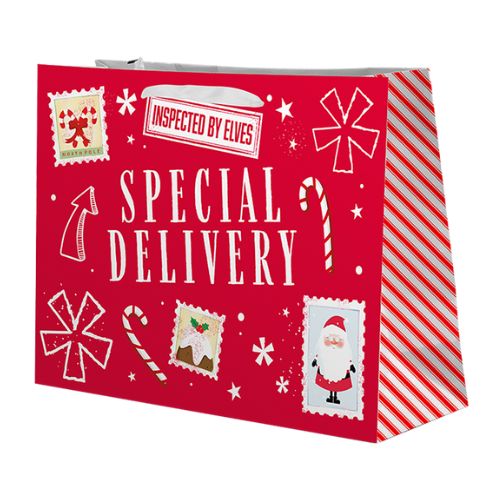 Christmas Cute Luxury Large Gift Bag Assorted Designs Christmas Gift Bags & Boxes FabFinds Special delivery  