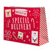 Christmas Cute Luxury Large Gift Bag Assorted Designs Christmas Gift Bags & Boxes FabFinds Special delivery  