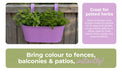 Over Fence Diamond Planter Lavender 26.5cm Assorted Packs Plant Pots & Planters FabFinds