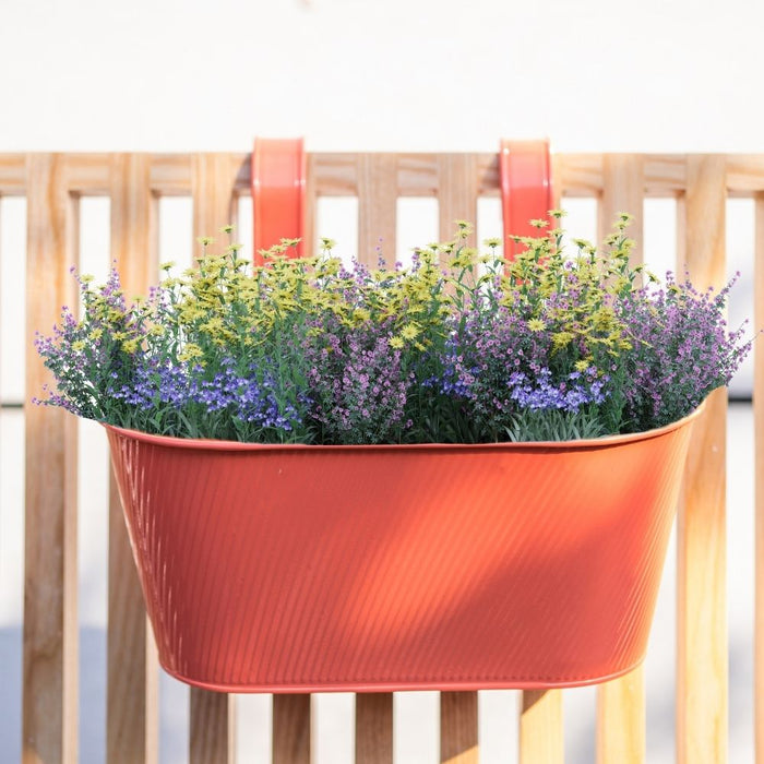 Over Fence Lined Planter Peach 26.5cm Assorted Packs