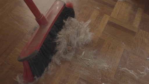 Astonish Morning Dew Pet Fresh Cleaning Bundle 7 Piece Cleaning Bundles Astonish