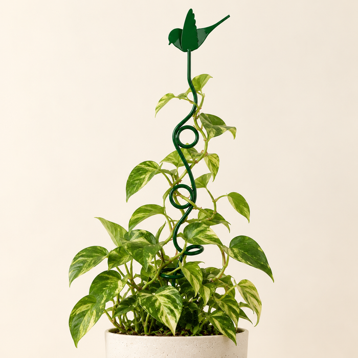 Robin Climbing Plant Stake 71cm Green Plant Supports FabFinds