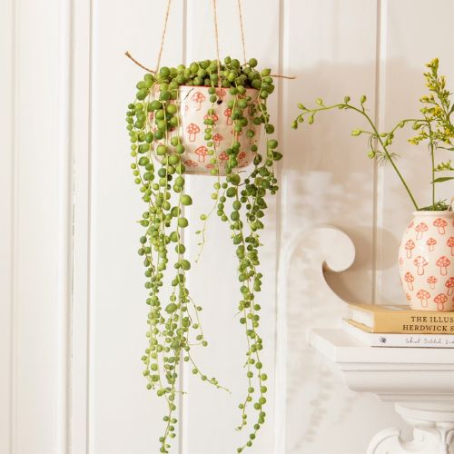 sass and belle hanging planter Sass & Belle Wild Mushroom Hanging Planter