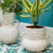 Sass & Belle Wide Amphora Vase Plant Pots & Planters Sass & Belle   