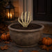 Skeleton Hand Decoration 20cm Halloween Decorations FabFinds