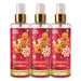 Sugar Bloom Room Perfume Christmas Cookies 250ml Assorted Packs Home Fragrance Sugar Bloom Pack of 3