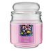 Sugar Plum Scented Jar Candle 10oz Candles FabFinds
