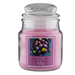Sugar Plum Scented Jar Candle 3oz Candles FabFinds