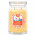 Yankee Candle Slopeside Spritz Large Jar 2 Wick Candle 567g Candles Yankee Candle