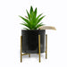 In Bloom Decor Plant In Gold Standing Frame Assorted Colours Artificial Trees FabFinds Black  