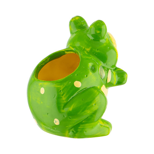 Mini Terracotta Frog Plant Pot Home Decoration FabFinds   