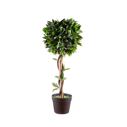 Artificial Pyramid Bay Tree 77cm Artificial Trees FabFinds   