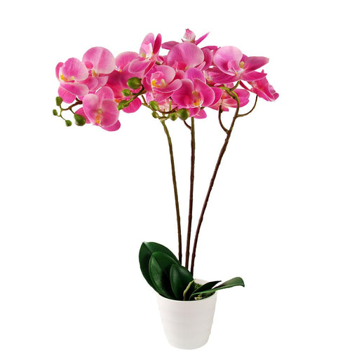 Artificial Orchid Blossom Tree Indoor Outdoor 55cm (1.8ft) Artificial Trees FabFinds Pink  