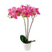 Artificial Orchid Blossom Tree Indoor Outdoor 55cm (1.8ft) Artificial Trees FabFinds Pink  