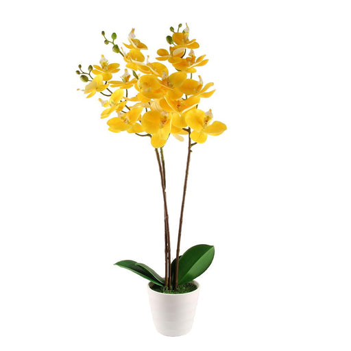 Artificial Orchid Blossom Tree Indoor Outdoor 55cm (1.8ft) Artificial Trees FabFinds Yellow  