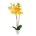 Artificial Orchid Blossom Tree Indoor Outdoor 55cm (1.8ft) Artificial Trees FabFinds Yellow  