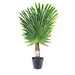 Artificial Fan Palm Tree Indoor & Outdoor 90cm Artificial Trees FabFinds   