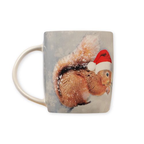 Santa Hat Squirrel Mug Mugs FabFinds   