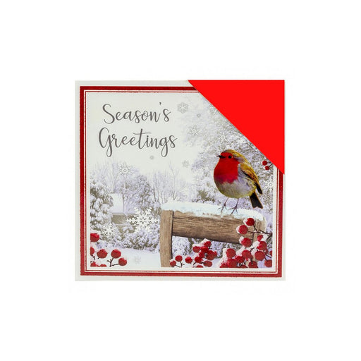 Festive Robin Christmas Cards Pack of 16 Christmas Cards Fabfinds   