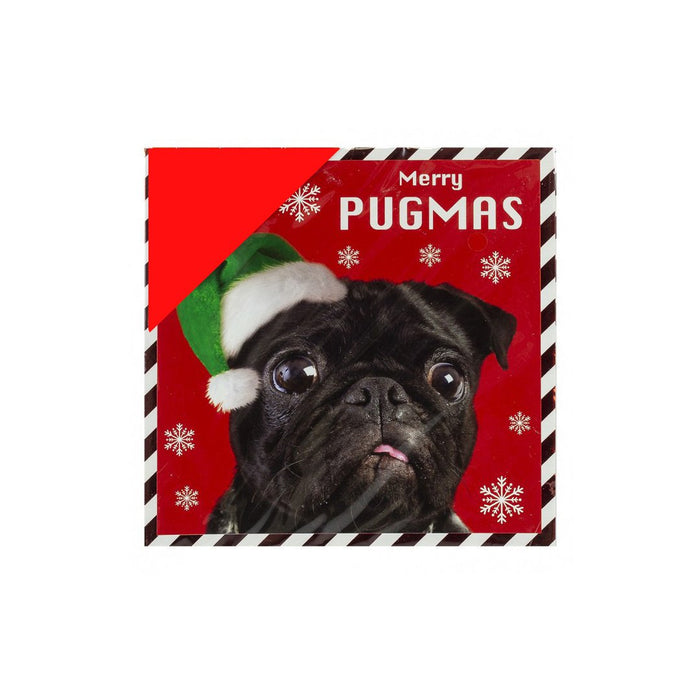 Festive Pug Christmas Cards Pack of 16 Christmas Cards Fabfinds   