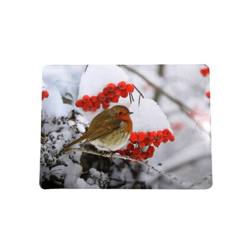 Festive Robin Christmas Place-mats 4 Pack Christmas Tableware FabFinds   